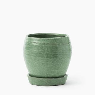 green plant pot