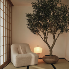 Cosy interior with bouclé chair and tree