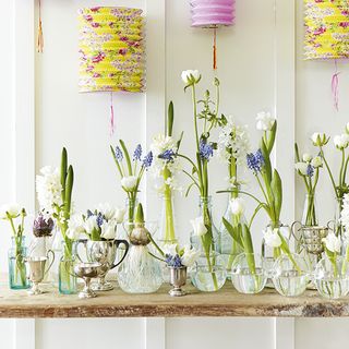 white wall and bottle with flower