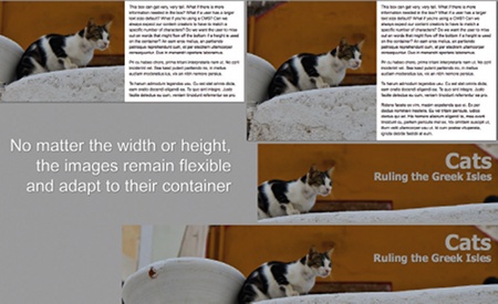 image flexible web