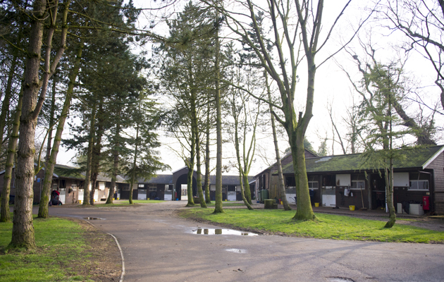 Katie Jerram Access All Areas at Collins Farm in Essex