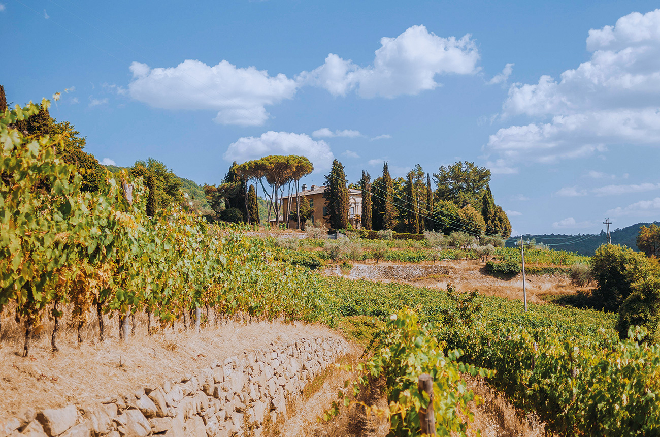 Italy's high-altitude wines