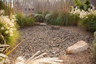 A rain garden with shingle and grasses