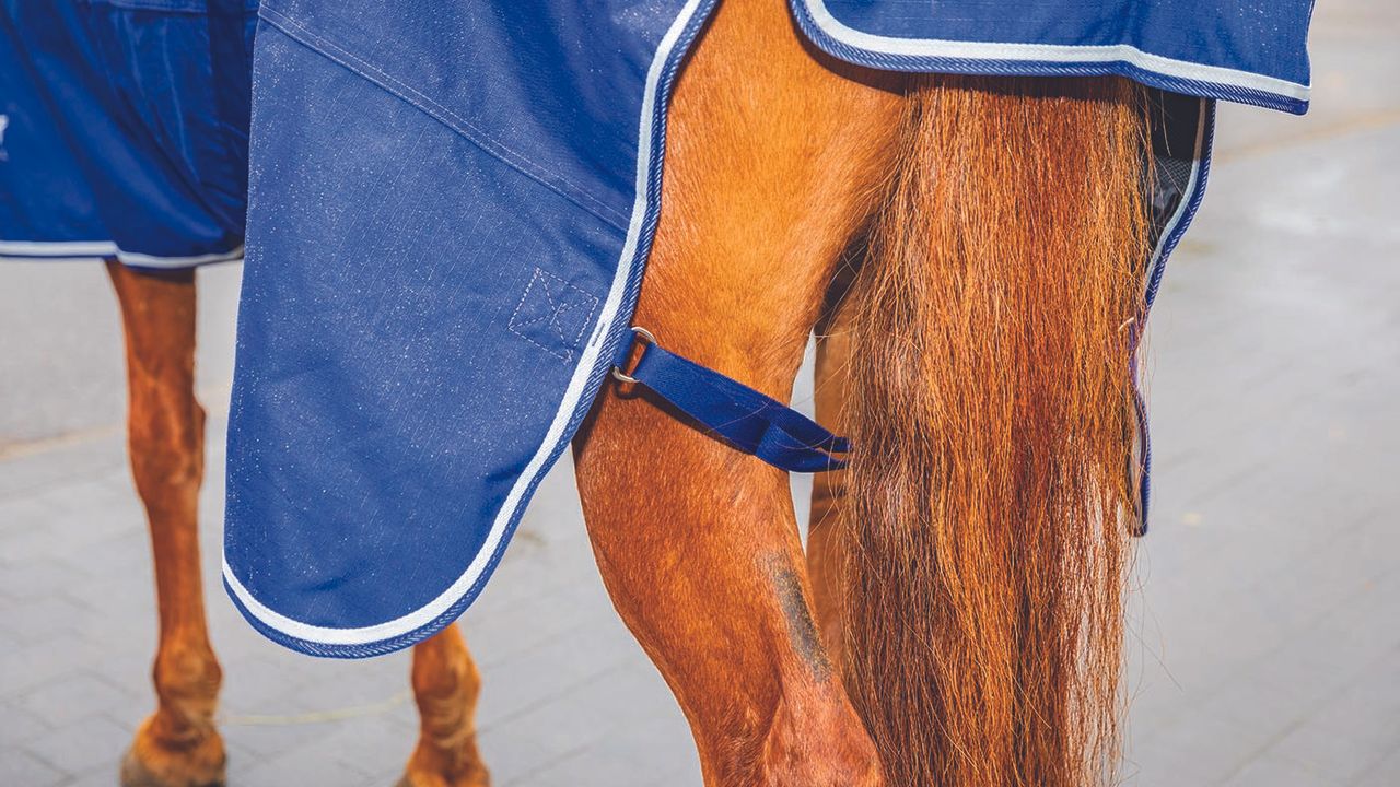 Shires Tempest Original Air Motion Combo review