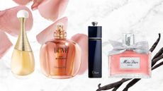 A collage featuring four of the best Dior Perfumes including J'Adore, Dune, Addict and Miss Dior, on a white and grey marbled template with flower petals and vanilla pods to demonstrate perfume notes.
