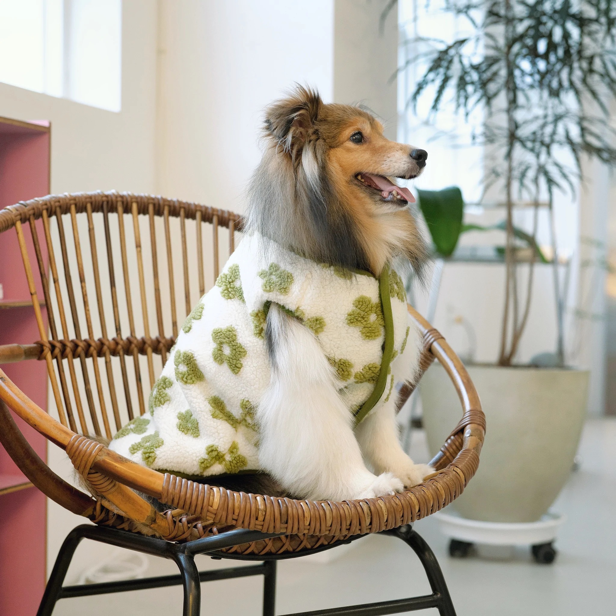 A dog wears the laēlap Daisy vest.