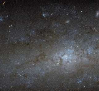 Inside NGC 247