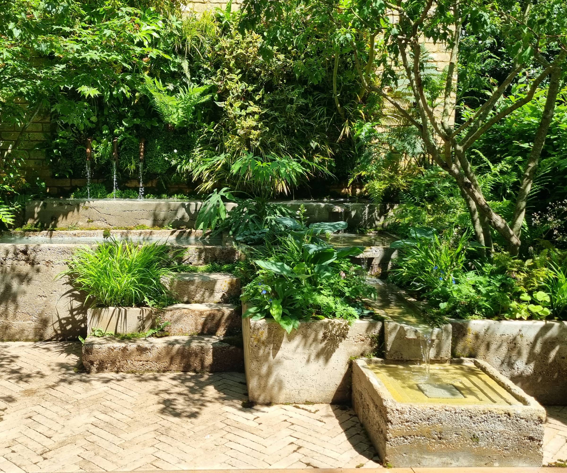 Shrubs and trees in The Ecotherapy Garden RHS Chelsea 2024