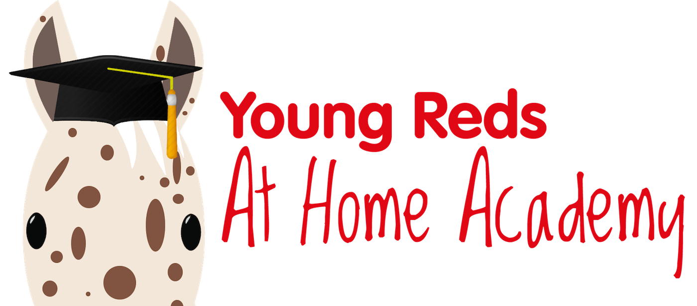 YRAHA-logo-Rdw.png