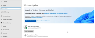 Windows 11 Update banner