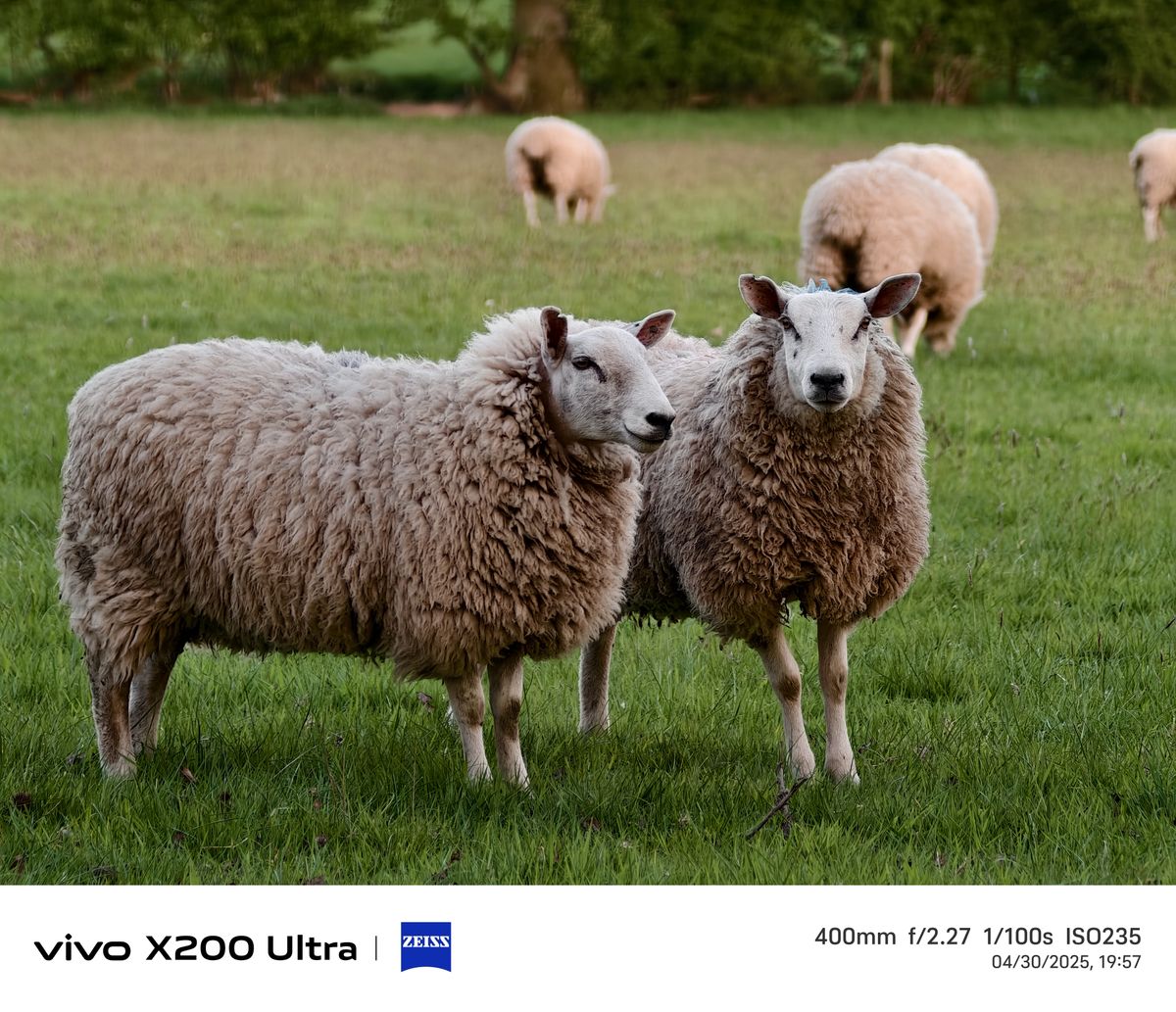 Vivo X200 Ultra camera samples