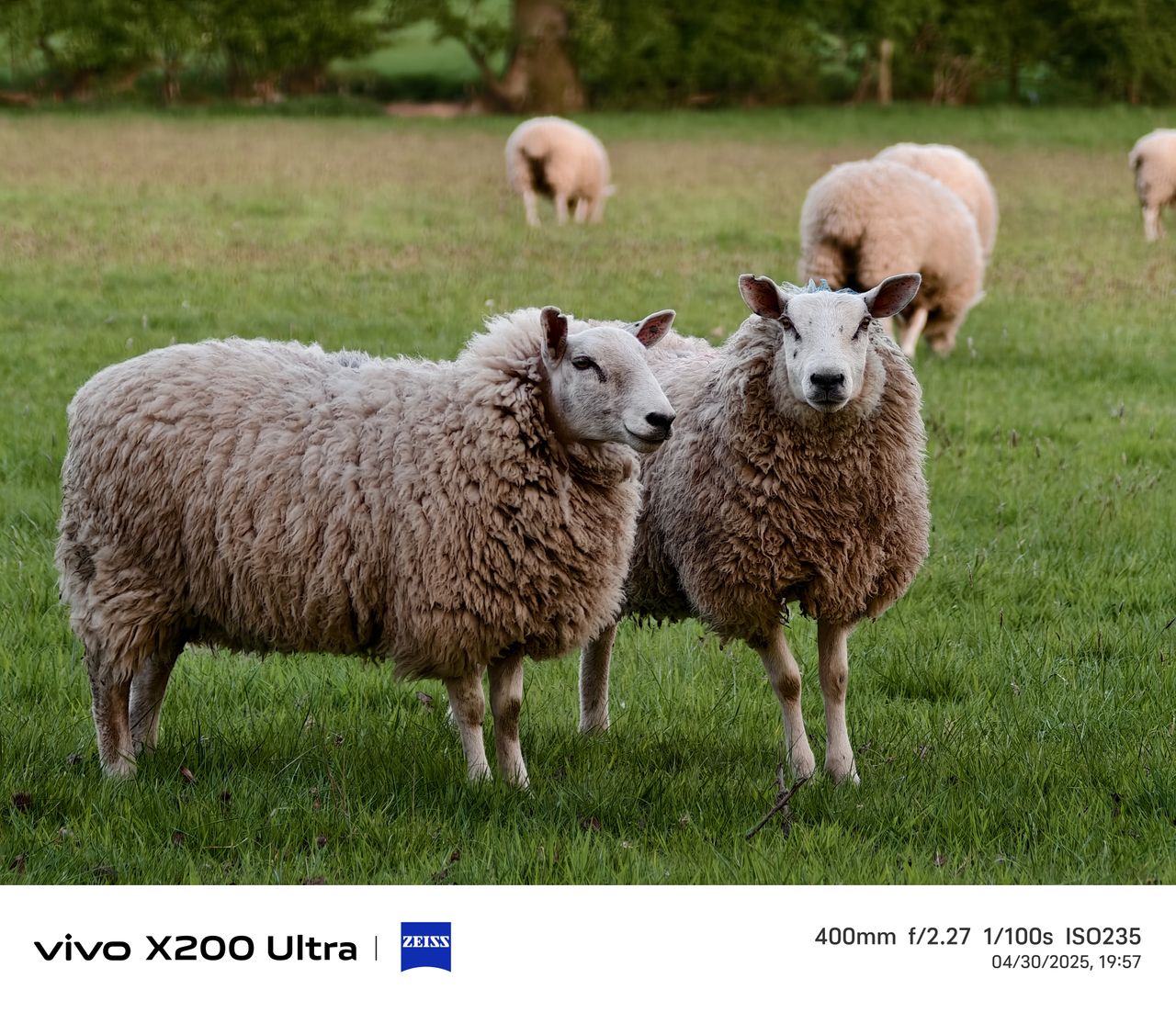 Vivo X200 Ultra camera samples