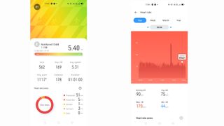 Run tracking and heart rate data in the Realme mobile app