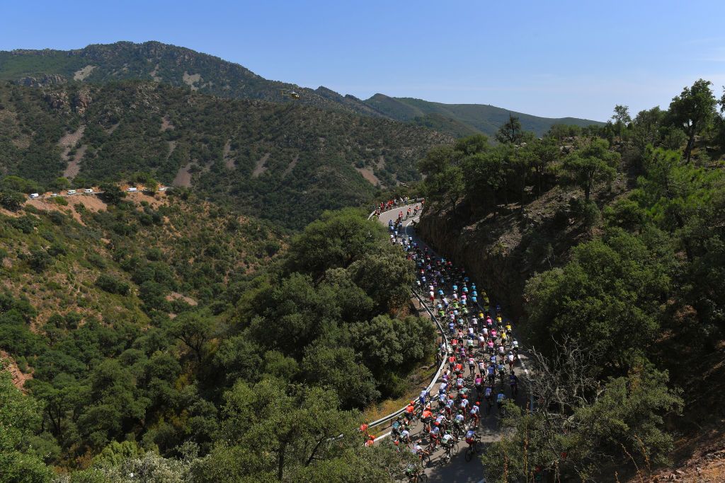 The Vuelta peloton