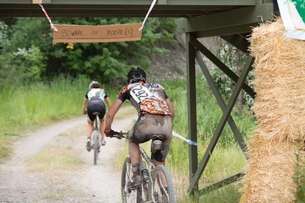 During the week leading up to the race, there have been moose encounters on the course