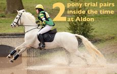 pony-trial-time.jpg