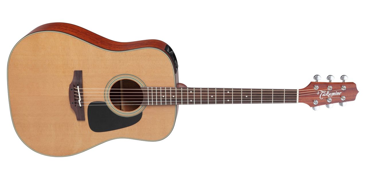 The Takamine P1D