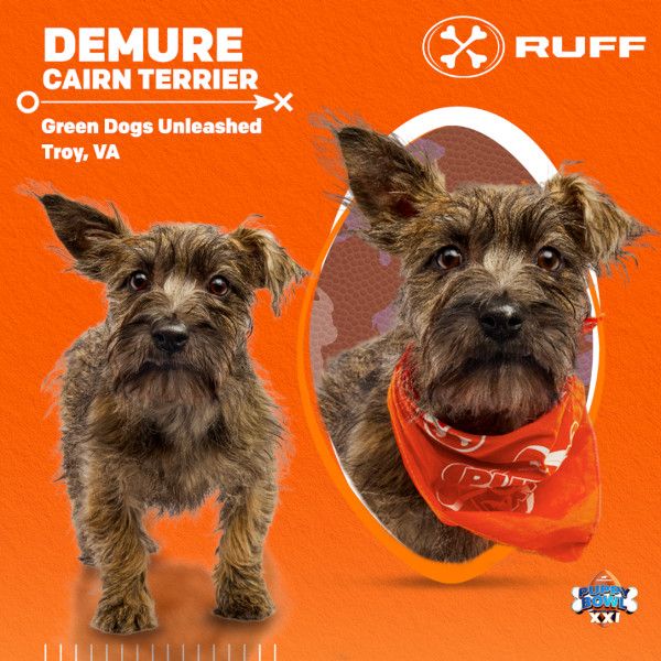 Puppy Bowl 2025 Demure