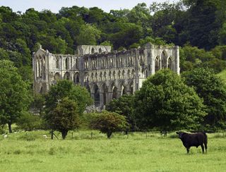 rievaulx