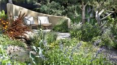 get rid of ants with a bar of soap