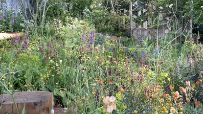 A flower bed filled with blooms at the Chelsea Flower Show 