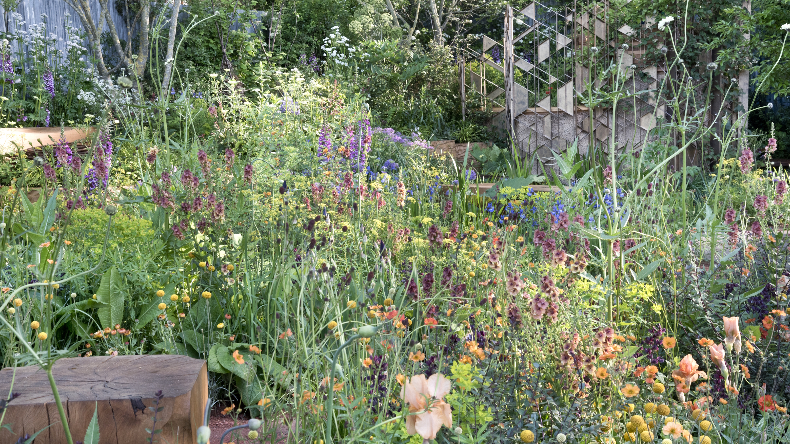 A flower bed filled with blooms at the Chelsea Flower Show 