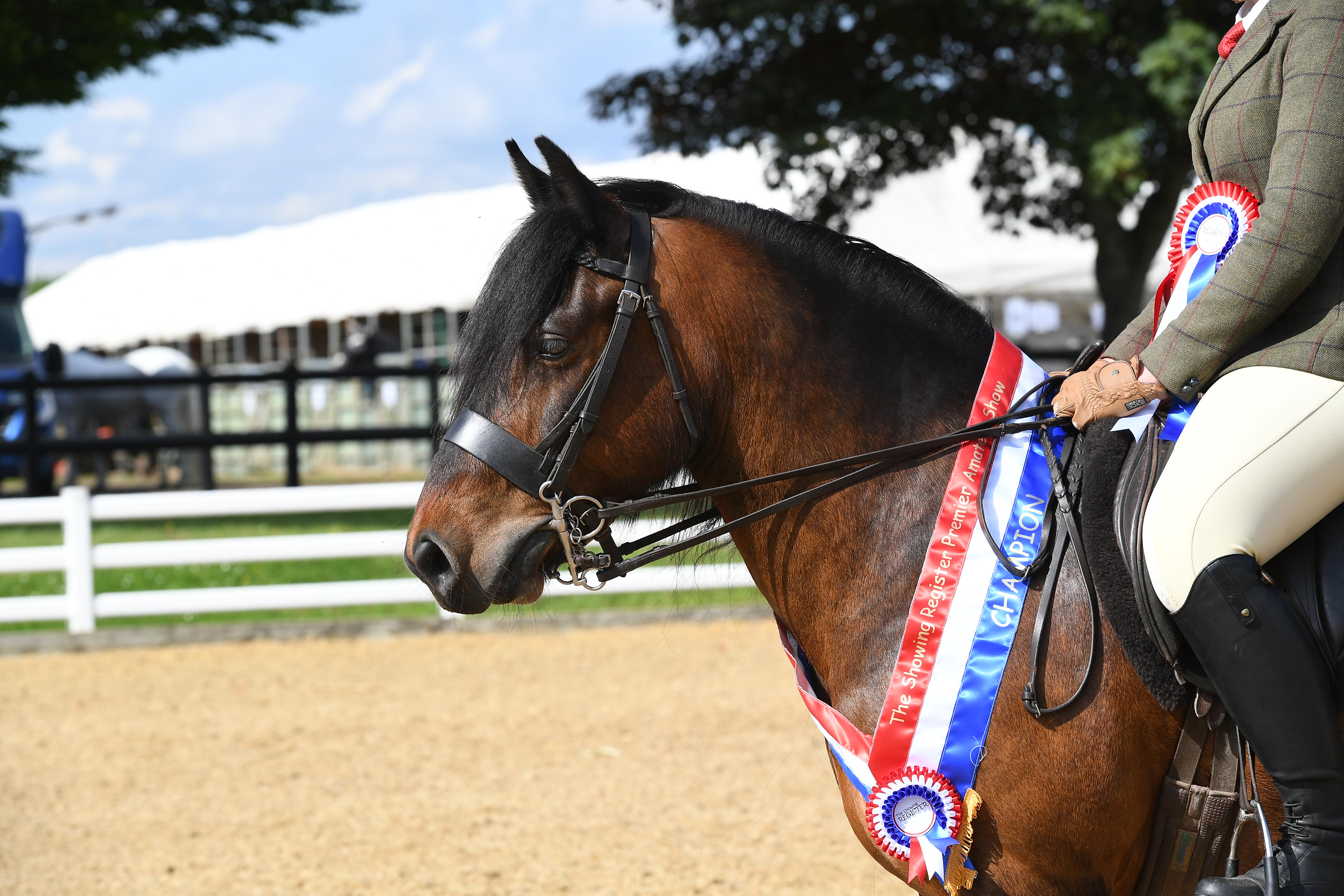Points-League-Press-Image-Junior-MM-Ridden-Champion-at-TSR-Premier-Amateur-Show-2024-Credit-1st-Class-Images.jpg