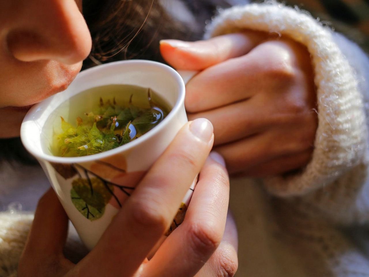 Person Drinking Herbal Tea