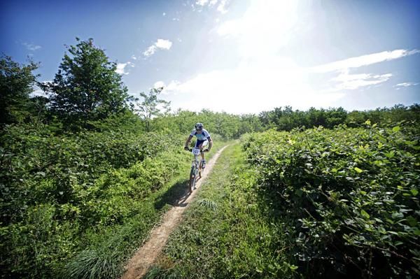 A rider on some hardpacked singletrack