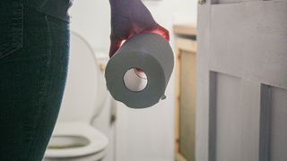 Person going into toilet holding toilet roll