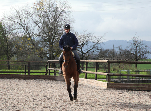 Behind the scenes with Olympic champion Steve Guerdat