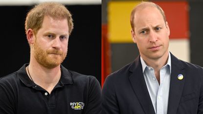 Prince Harry says Prince William 'knocked him to the floor'