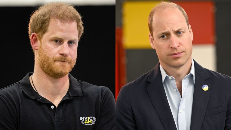 Prince Harry's response to Princess Diana questions could reportedly have similarities to Prince William's