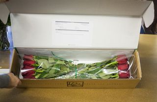 Best flower delivery online - box of flowers