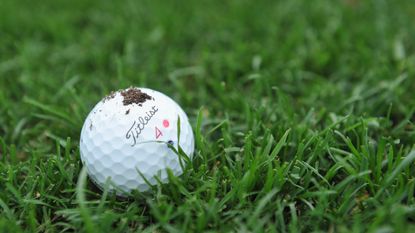 A close up of a Titleist ball with mud on it 