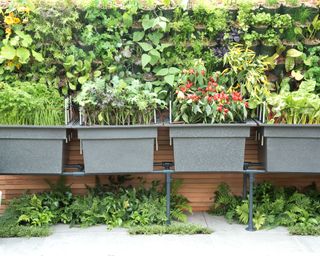 living wall made using pocket wall planters with raised container garden in front