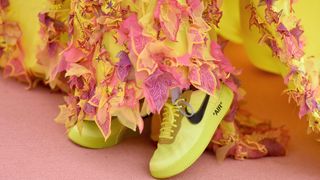 Pink, Yellow, Footwear, Flower, Plant, Shoe,