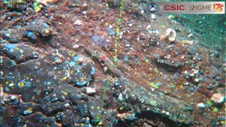 An underwater photo showing a rocky seafloor