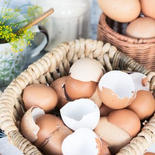Used eggshells in bowl