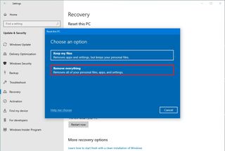 Reset this PC remove everything option