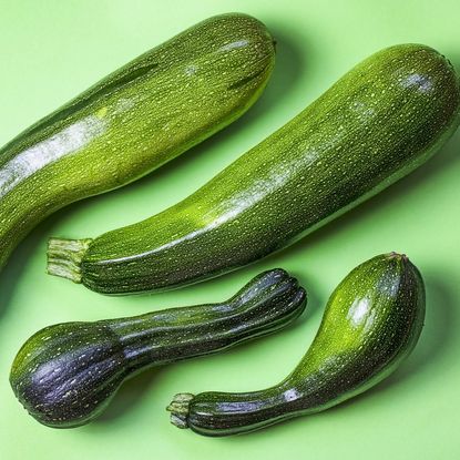 Four zucchini on a green background