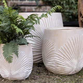 Set of three planters with embossed leaf design