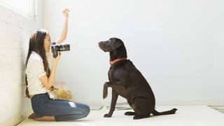 How to make your dog (or cat) Instagram famous