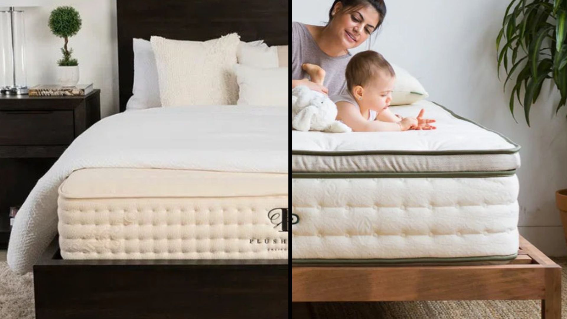 Avocado Green Mattress Vs PlushBeds Botanical Bliss: Which Organic Bed ...