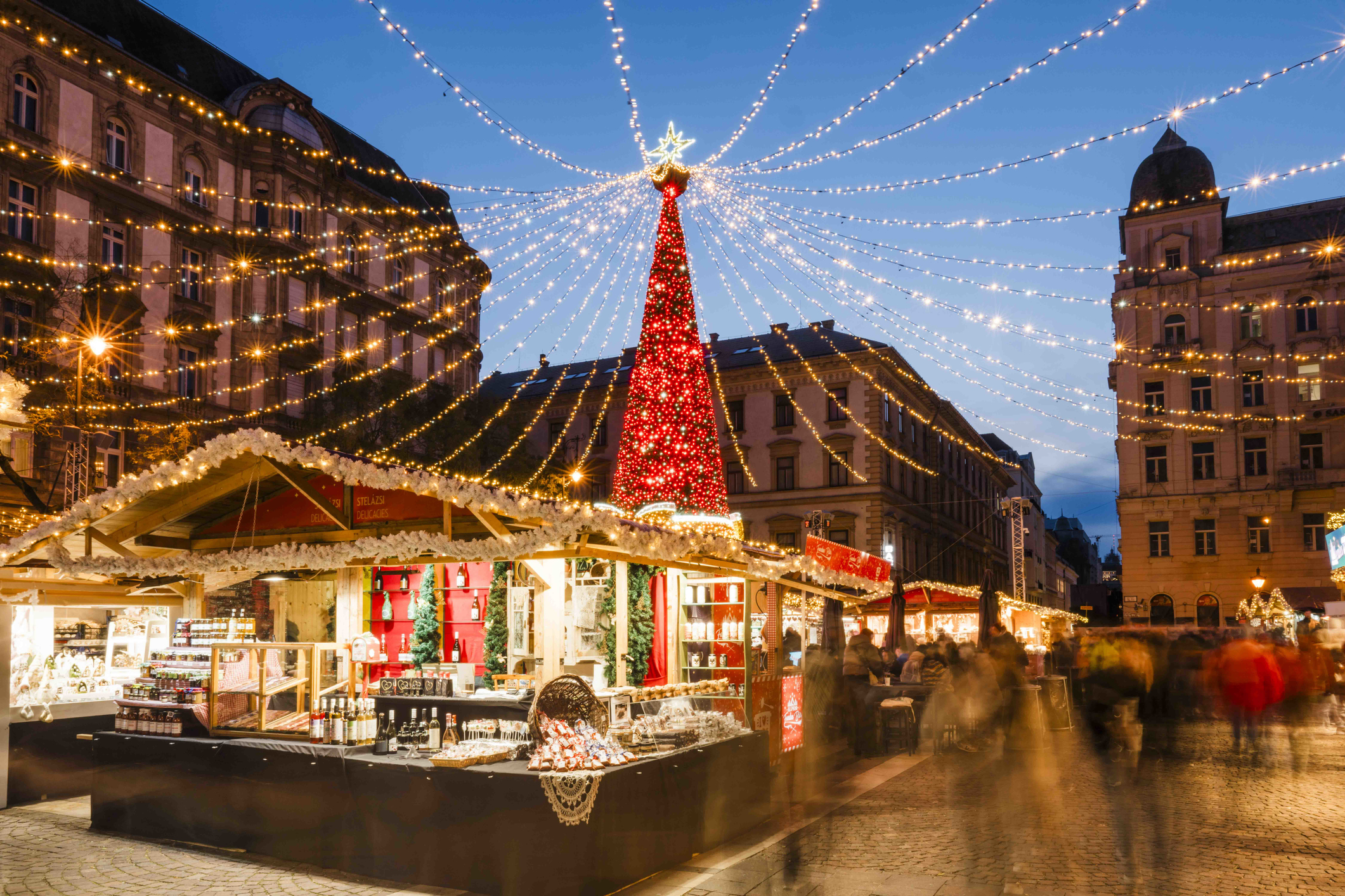 Christmas tree at dusk, Christmas market in the Hungarian capital, Budapest