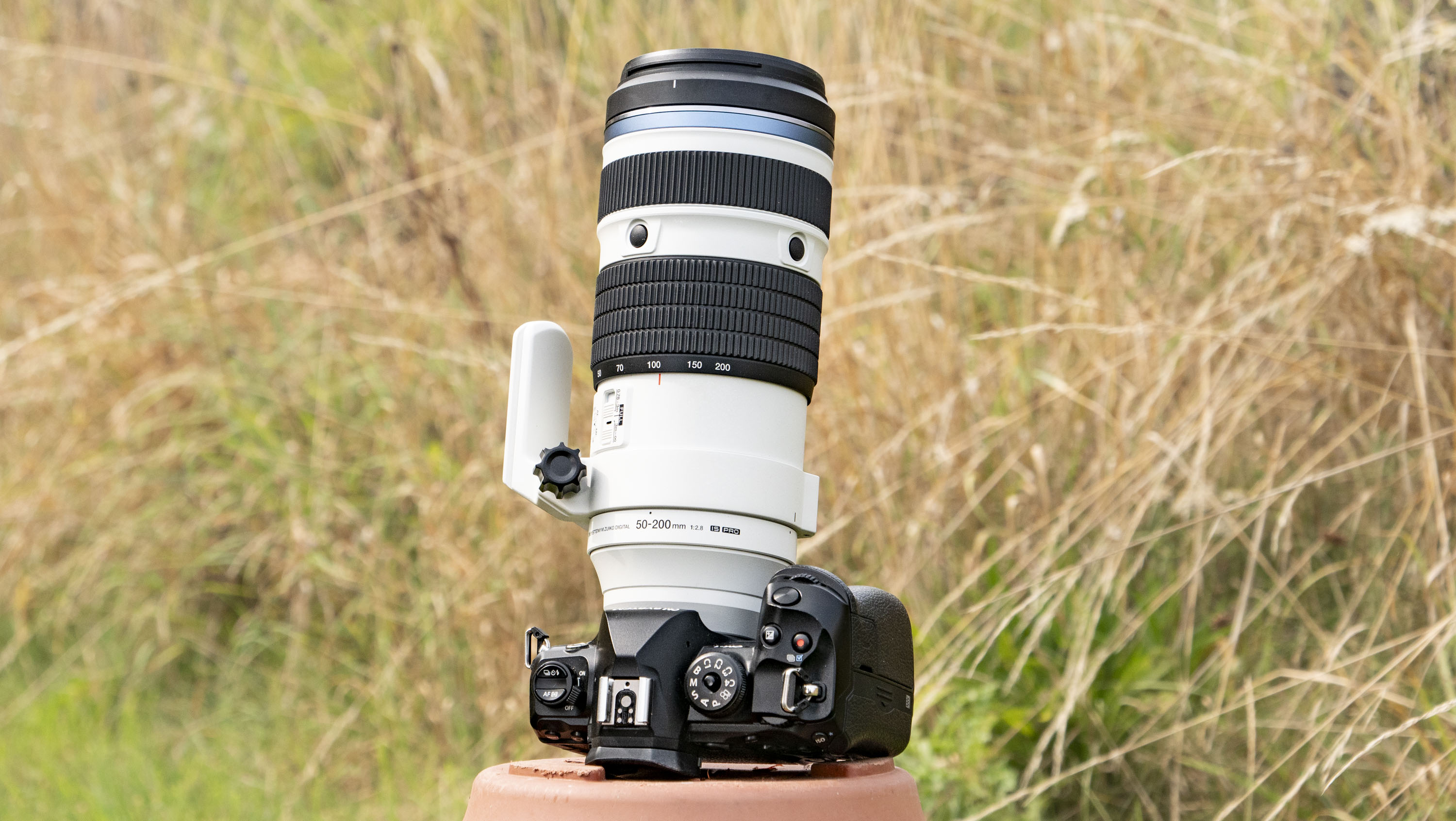 OM System M.Zuiko Digital ED 50-200mm F2.8 IS Pro lens attached to an OM-1 II, outdoors with long grass in the background