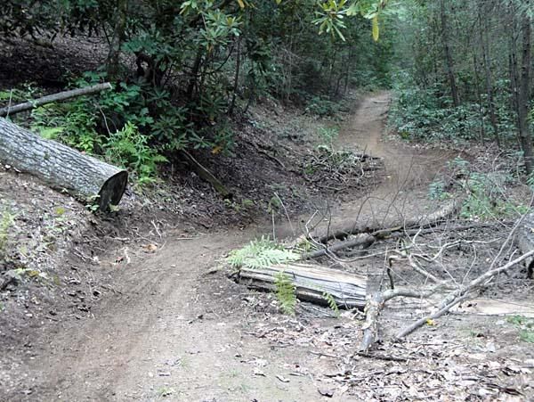 This section of trail has been re-routed.