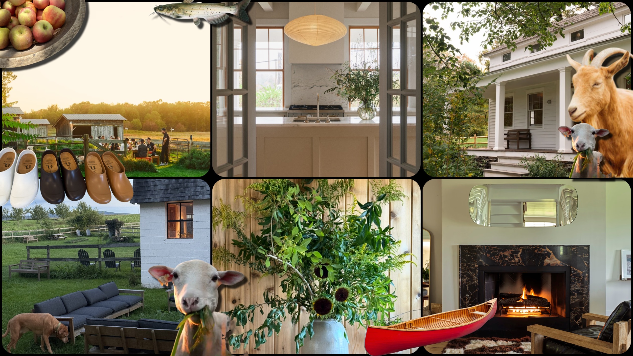 an Upstate New York farm stay featuring a farmhouse, modern interiors, grazing cows and goats, apples, garden flowers, and a cozy fireplace.