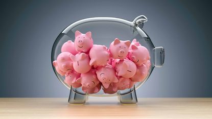 clear piggy bank filled with small plastic pigs