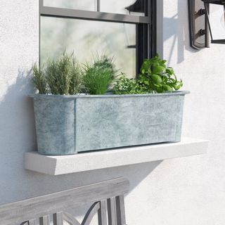 Rosemary and herbs growing in a window box